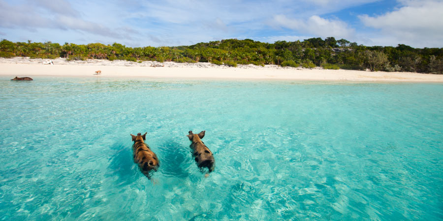 5 Romantic Destinations Exuma 900x450