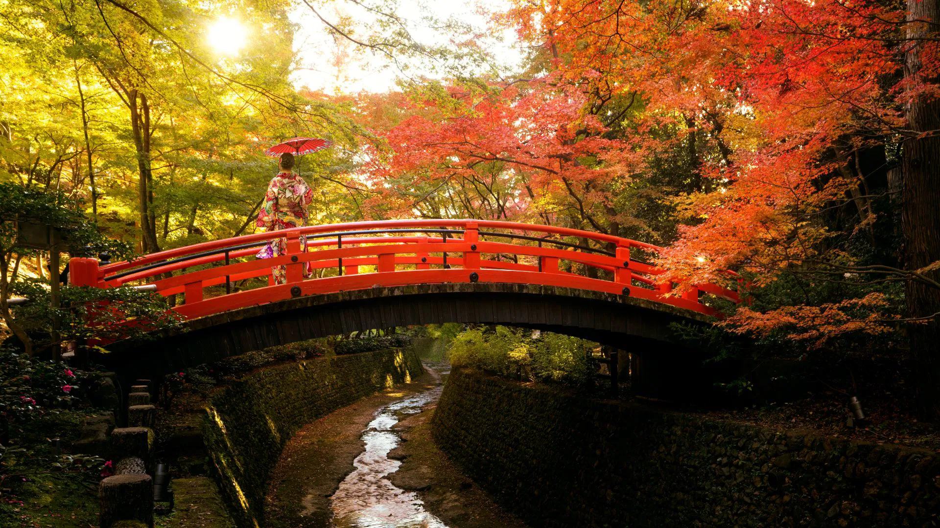 kyoto fall