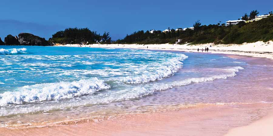 Celebrity Sail Your Way June bermuda pink article image
