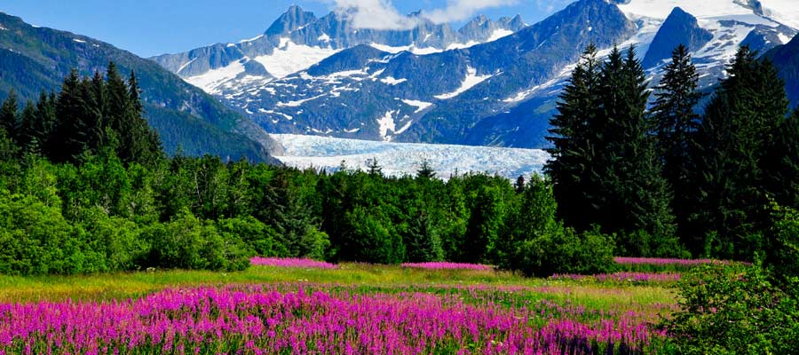 Alaska Article Image