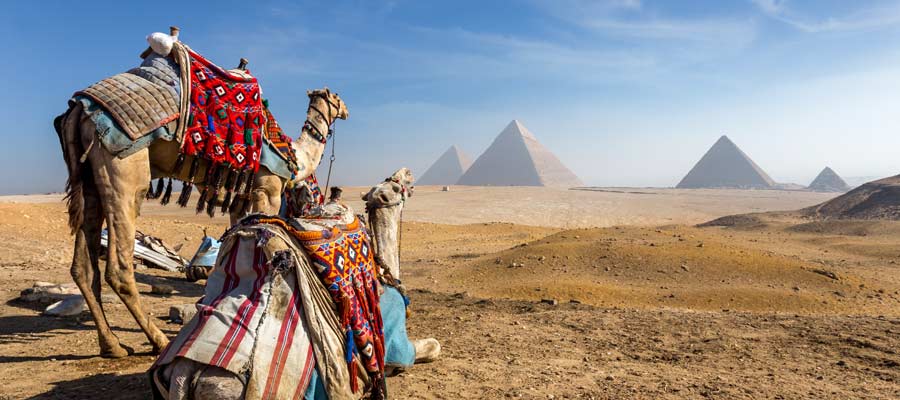 Egypt Article Image