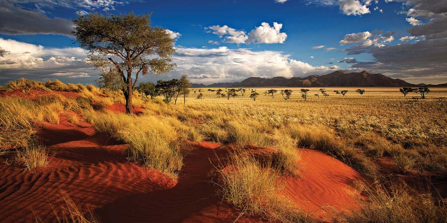 Oceania special offer Nambia Article Image