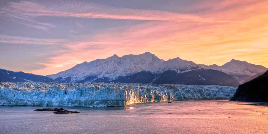RCCL alaska wild life article image