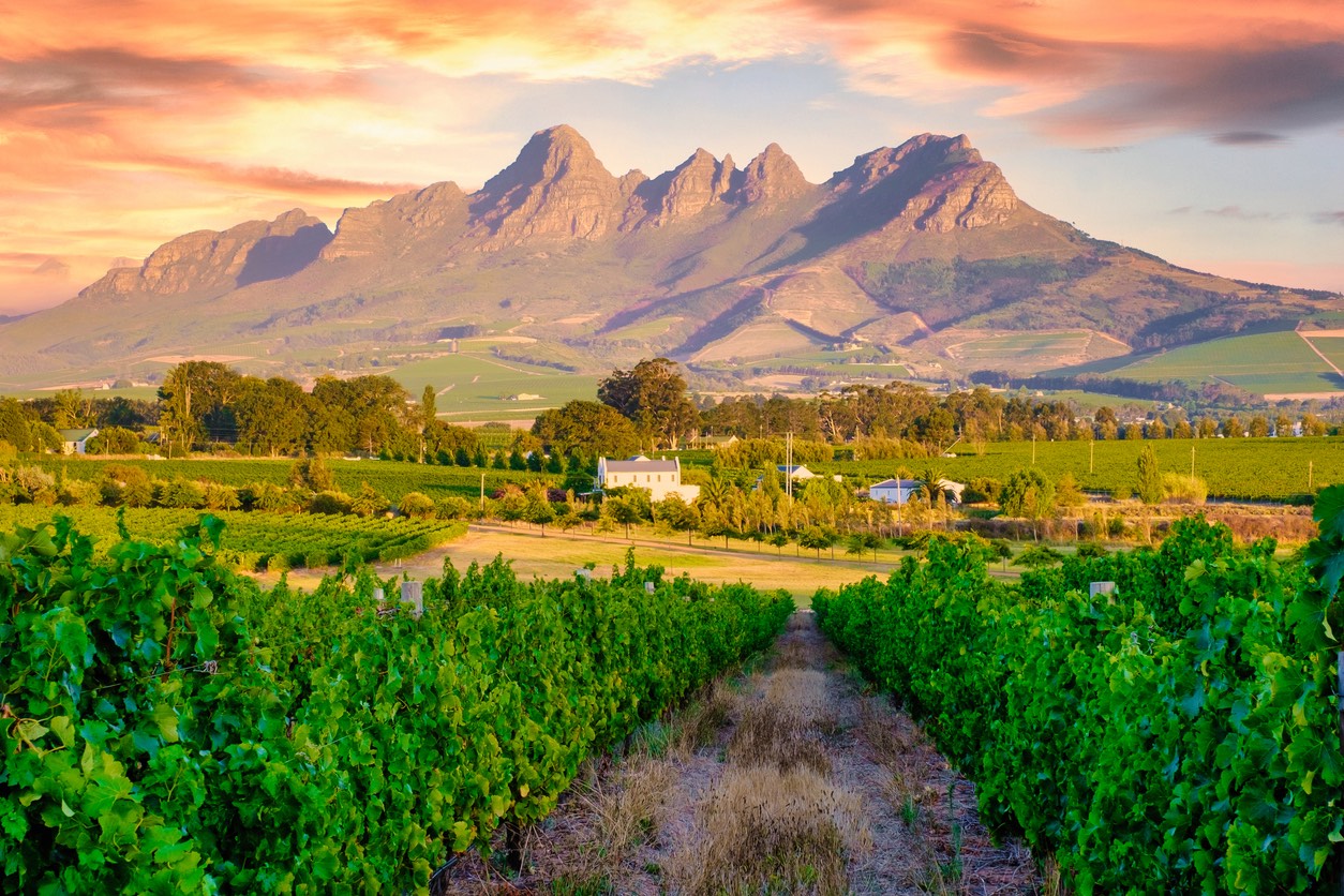 Cape Winelands