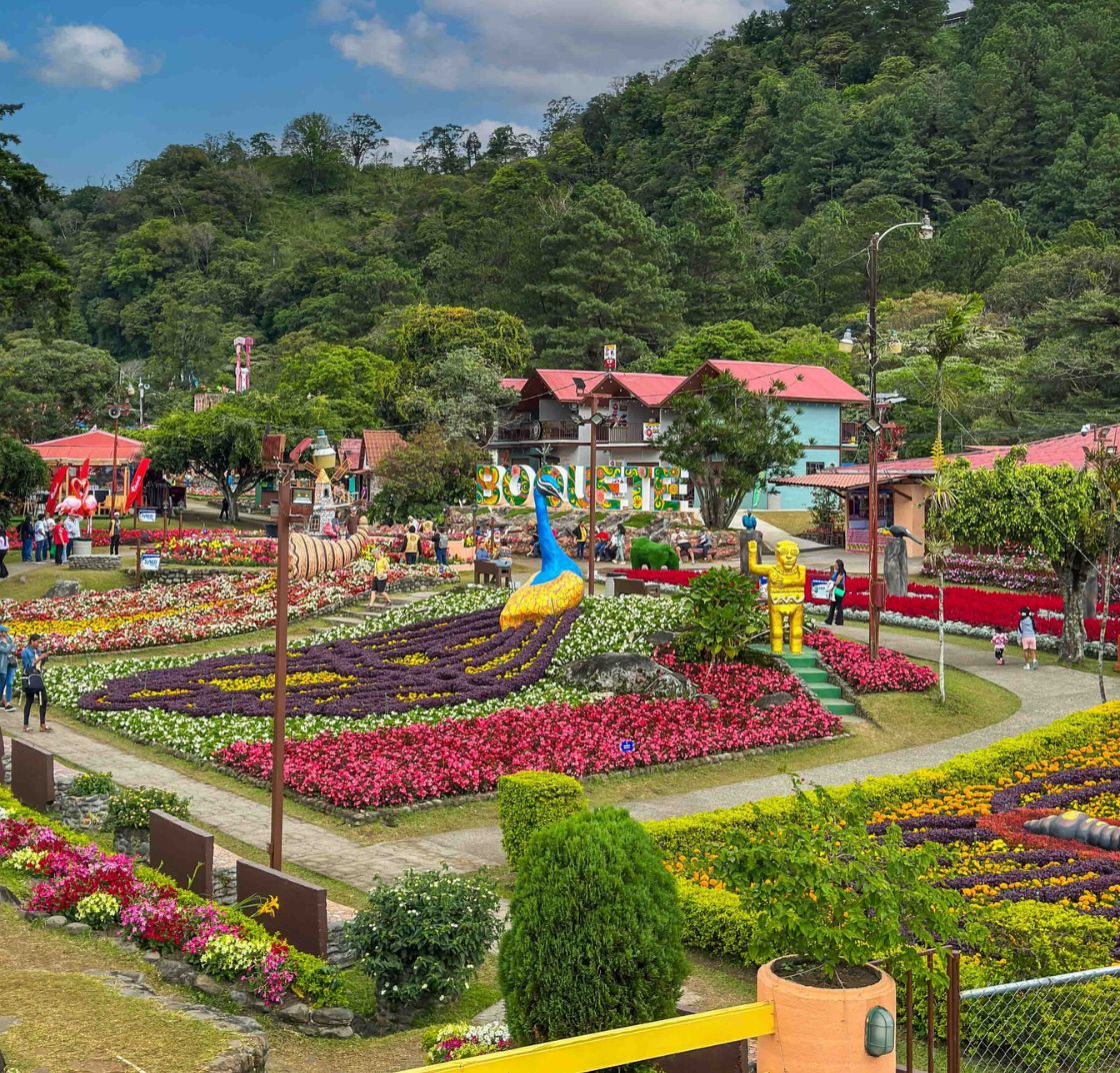 flower_coffee_festival.jpg